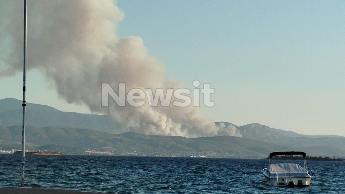 fotia-oropos-1-1-1200×675